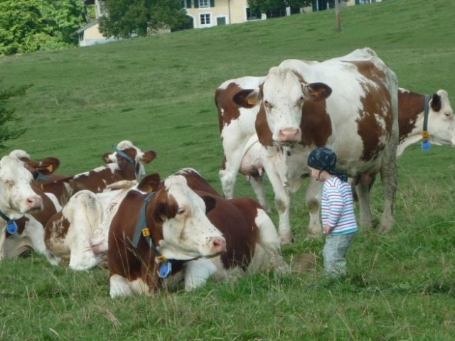  Encuentro con los animales de la granja